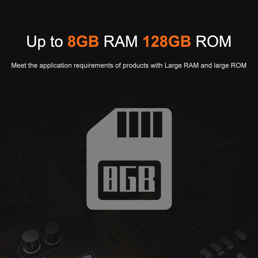 Liontron RK3566 DDR4 8GB RAM A – Open Vending Machine Bewertung und Preis